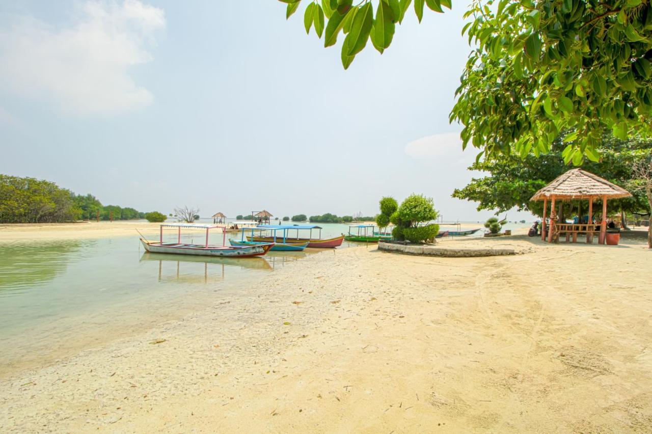 Guerilla Dive Lodge Pulau Pari Джакарта Экстерьер фото